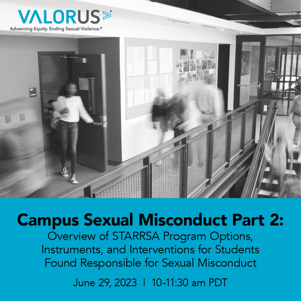 Valor Advancing Equity Ending Sexual Violence