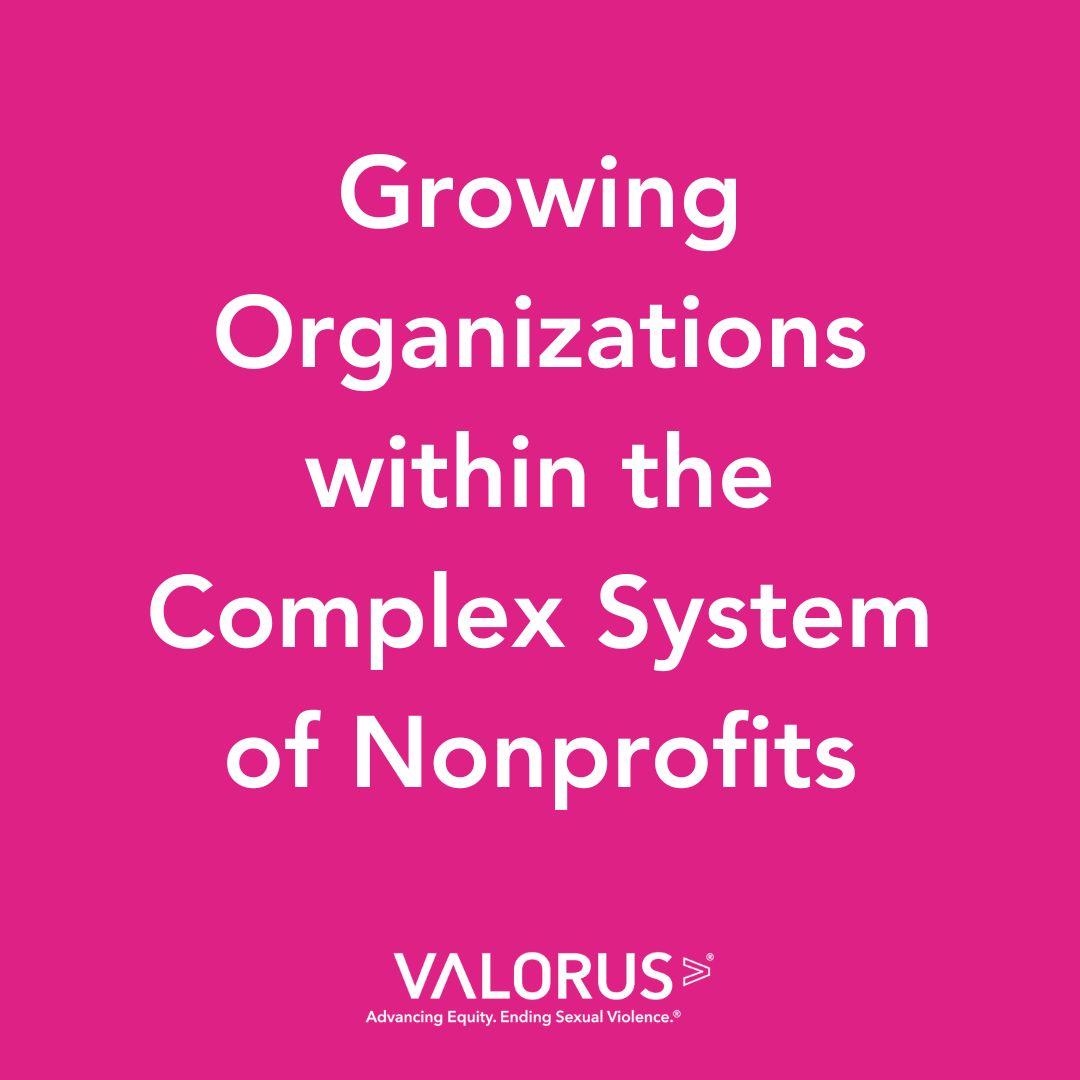 Pink graphic with white text that reads, "Growing Organizations within the Complex System of Nonprofits." VALOR logo.