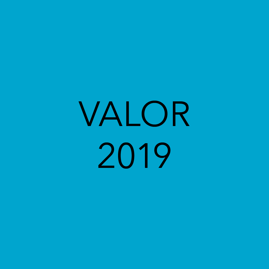 Blue background with black text that reads, "VALOR 2019."